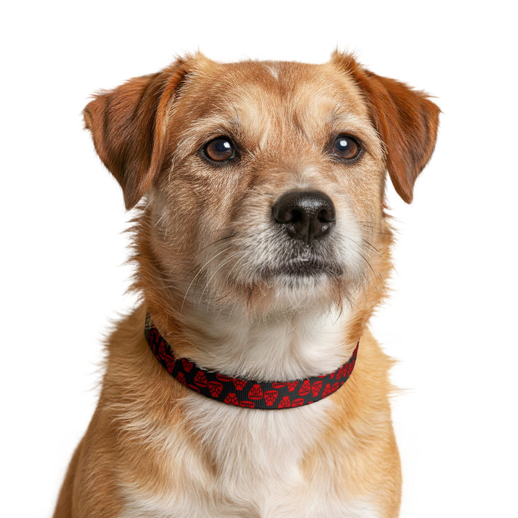 MuttoCorsa — Small Dog Collar
